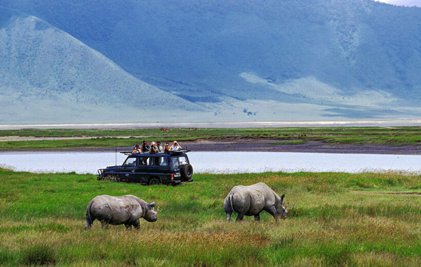 1-Day Ngorongoro Crater Tanzania Safari