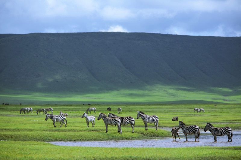 Ngorongoro Crater