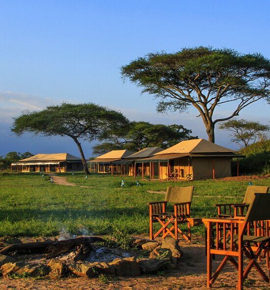 serengeti National Park 5 Tented Camps