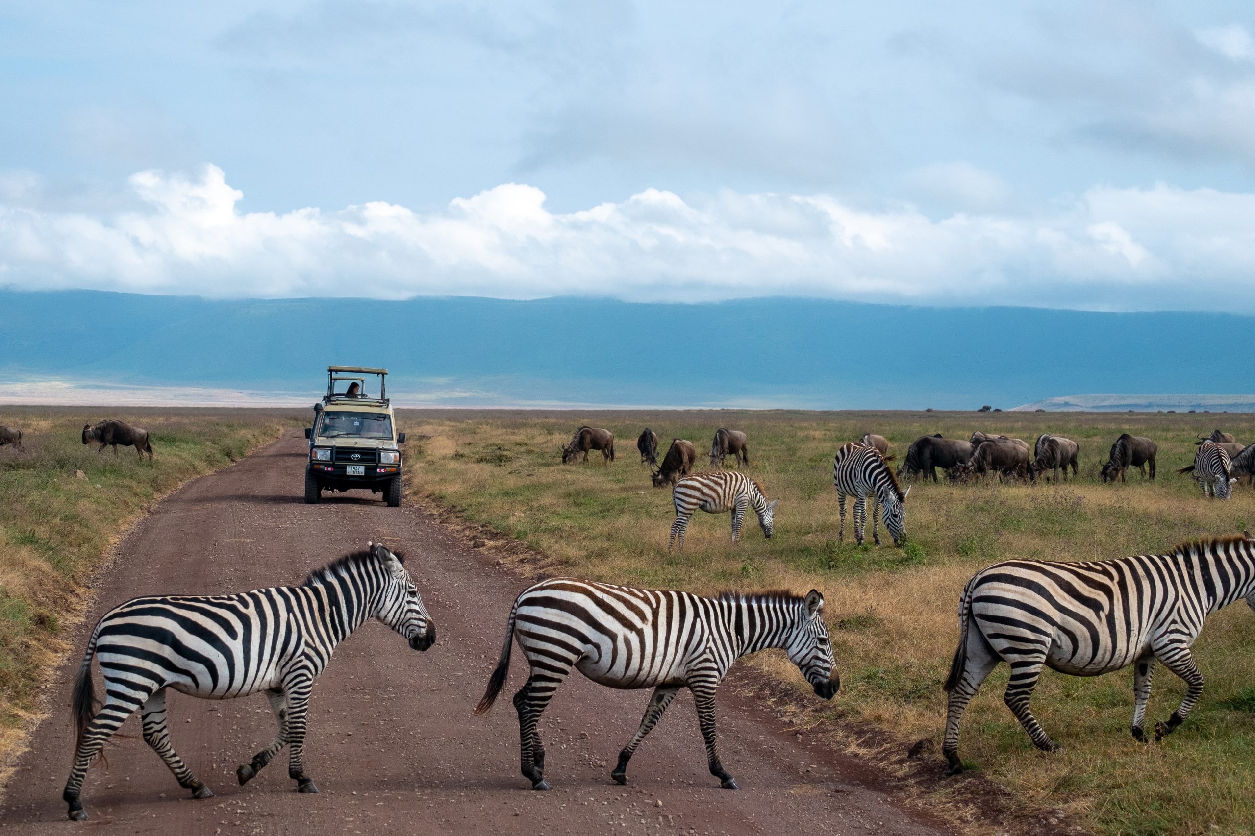 About 4 Ngorongoro2