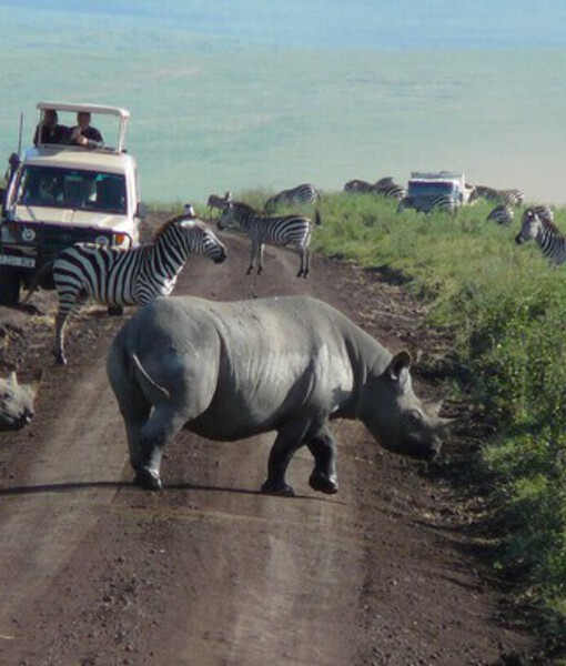 Home 7 Ngorongoro