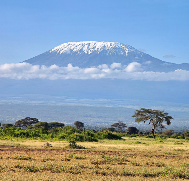 Mount Kilimanjaro 1 result How Hard Is It to Climb Mount Kilimanjaro