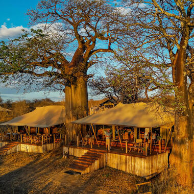 Tarangire national park 5 result exterior olkeri camp tarangire