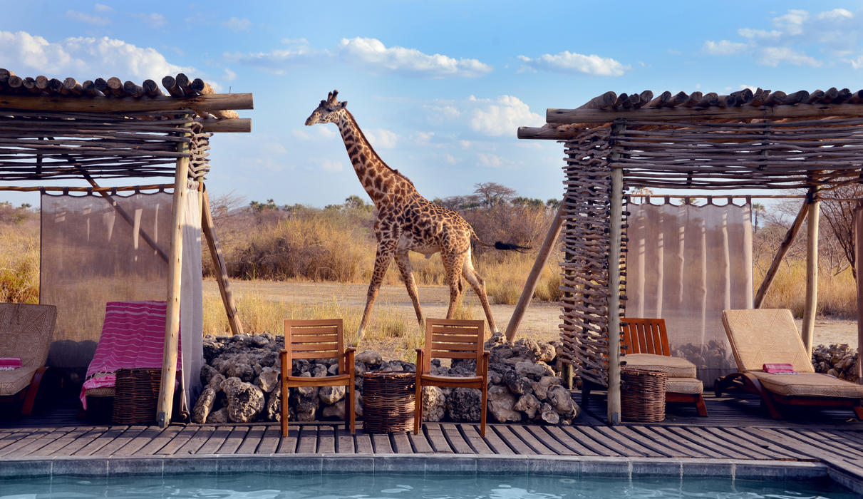 Tarangire national park 2 122 1