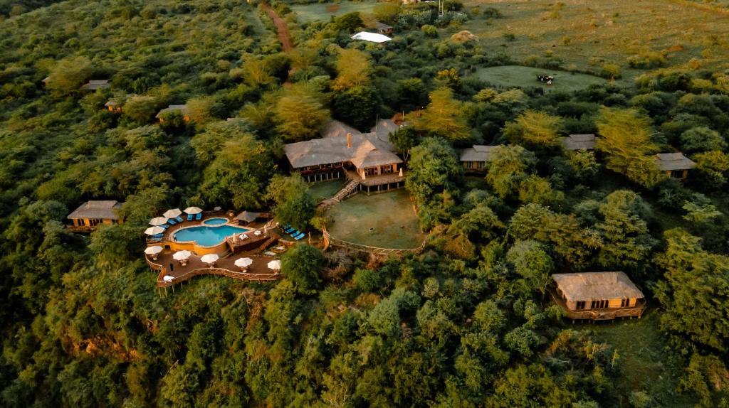 Lake Manyara 2 449845177