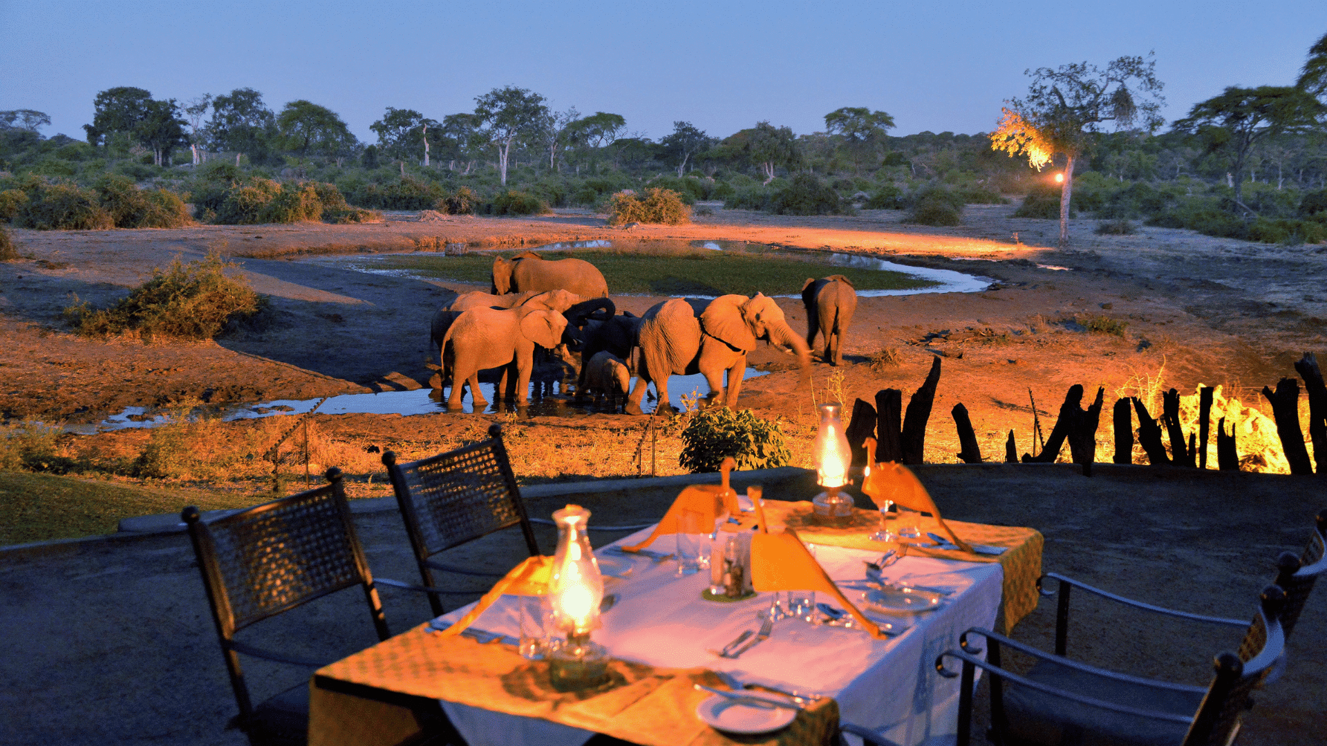Tarangire national park 1 Elephant Valley Lodge