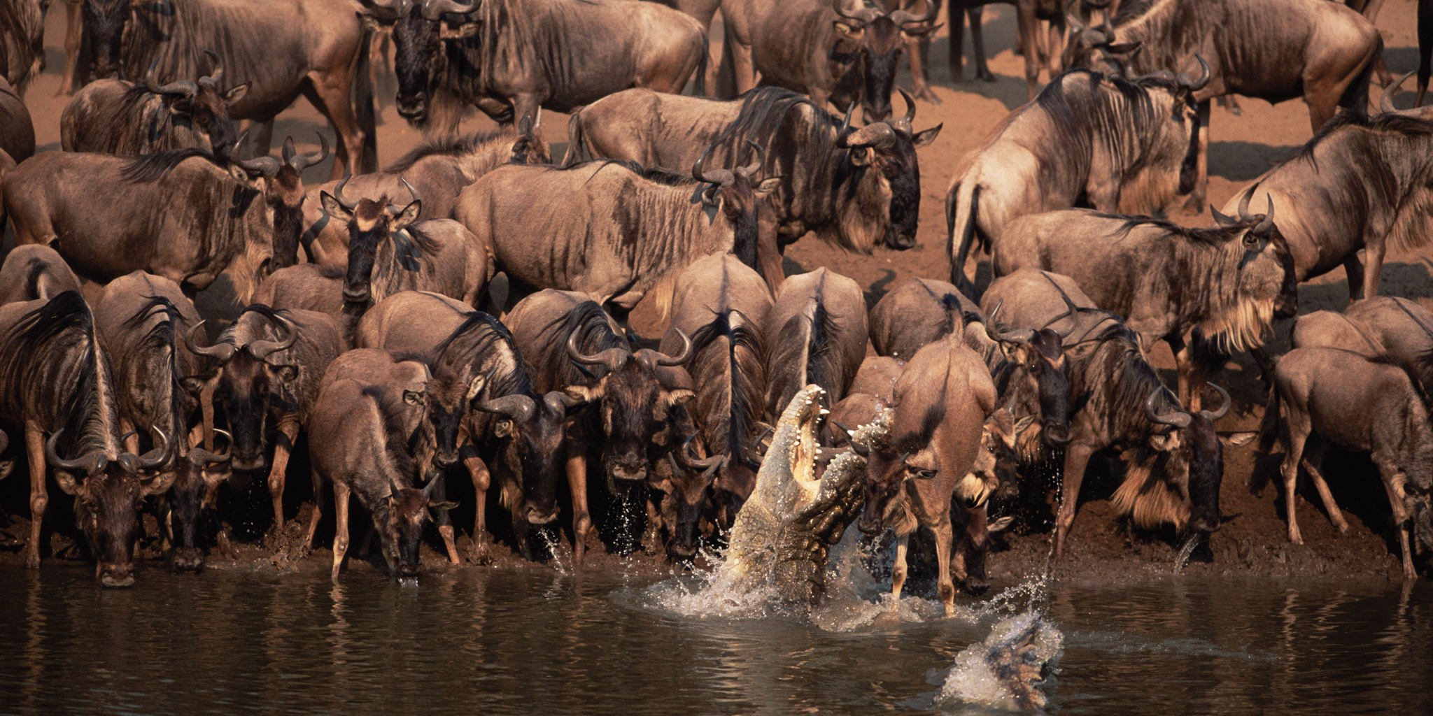 Western Serengeti safari landscape
